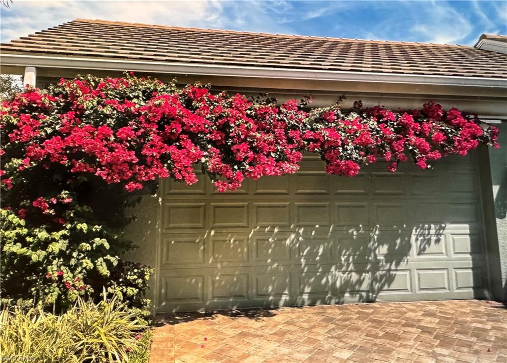 MLS #225064040 image #0