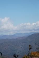 MLS #CAR3163717 image #0