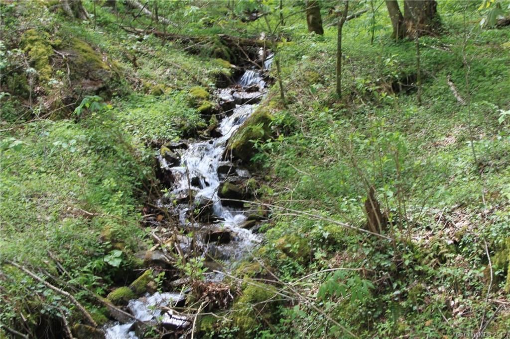 MLS #CAR3253869 image #0