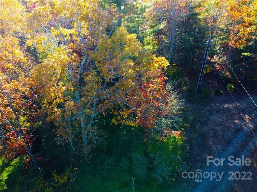 MLS #CAR3470158 image #0