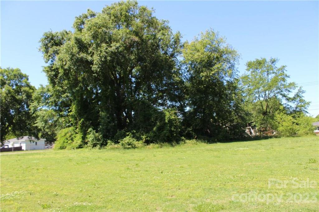 MLS #CAR3509318 image #9