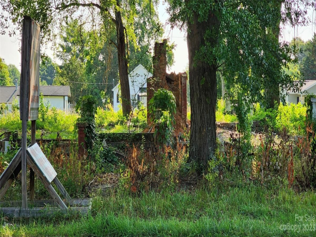 MLS #CAR3509318 image #24