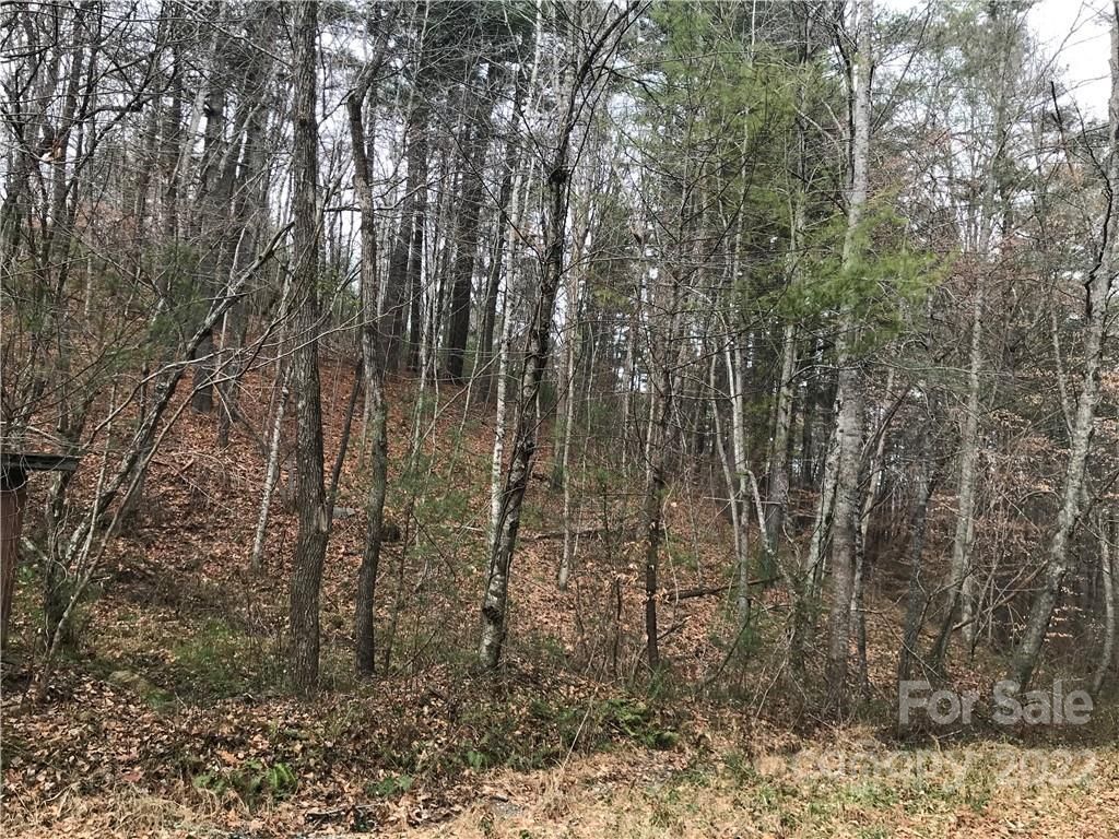 MLS #CAR3577217 image #1