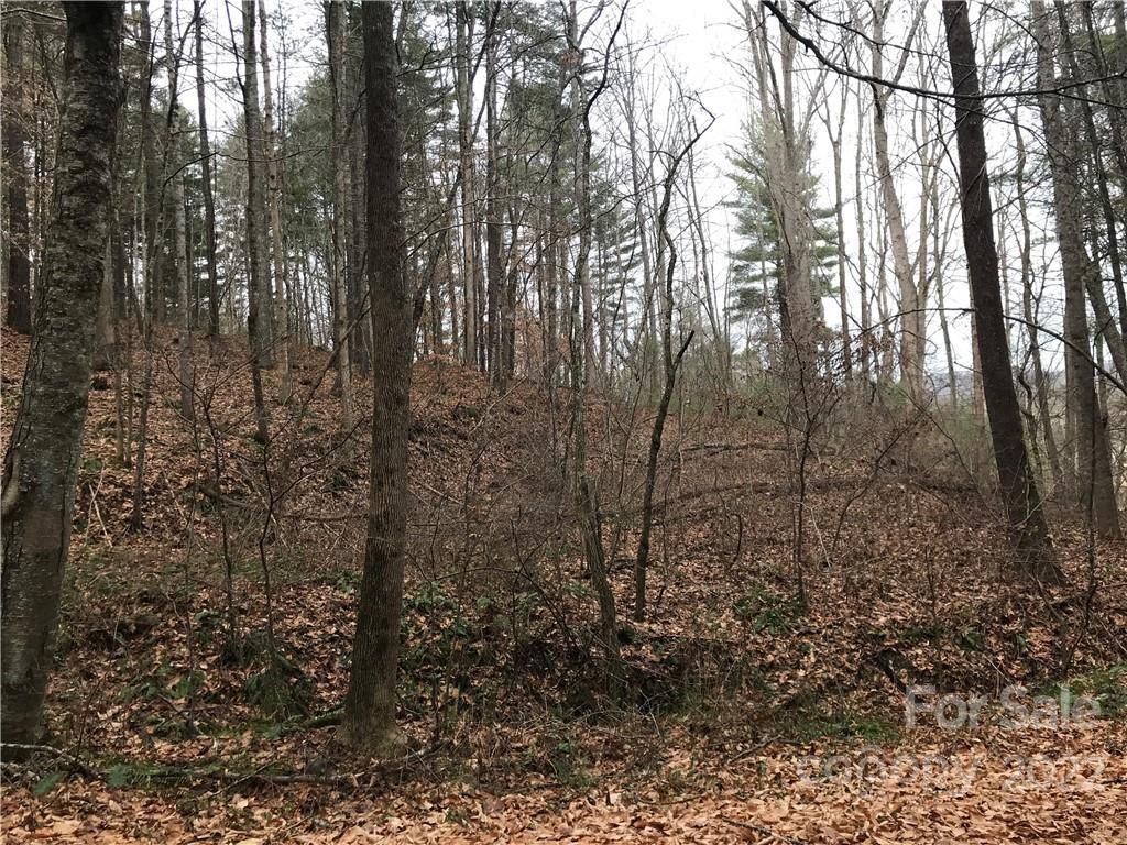 MLS #CAR3577217 image #3