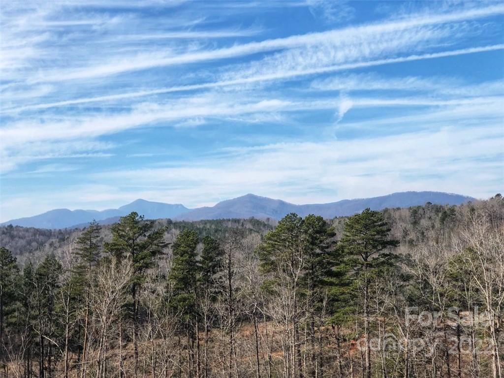 MLS #CAR3694748 image #0