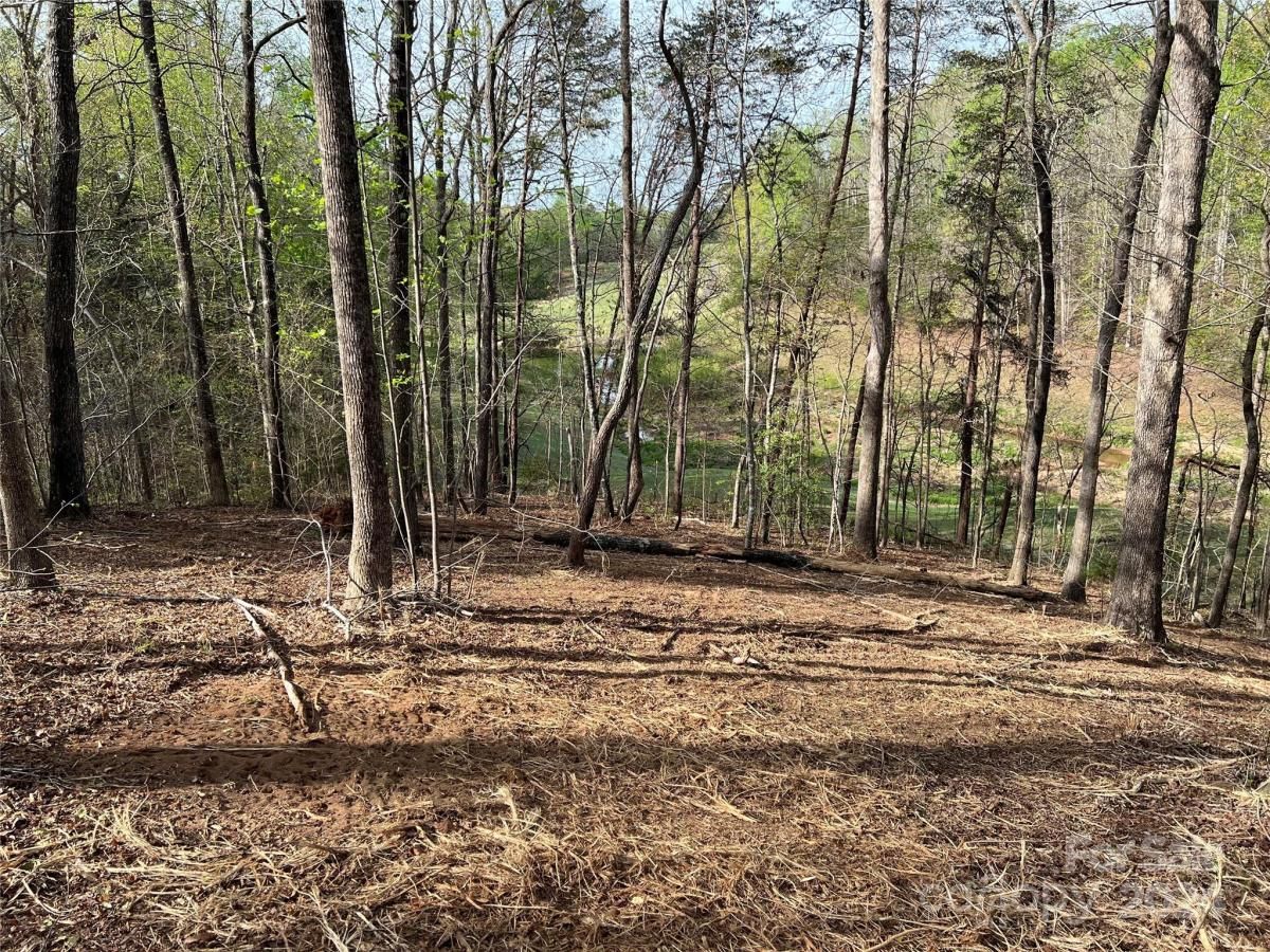 MLS #CAR3724319 image #10