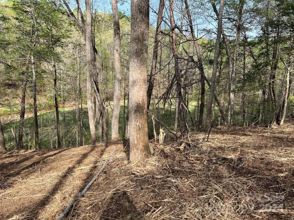 MLS #CAR3724319 image #11