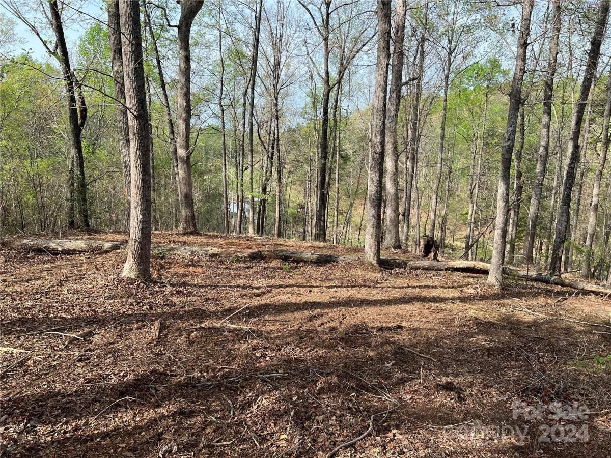 MLS #CAR3724319 image #12