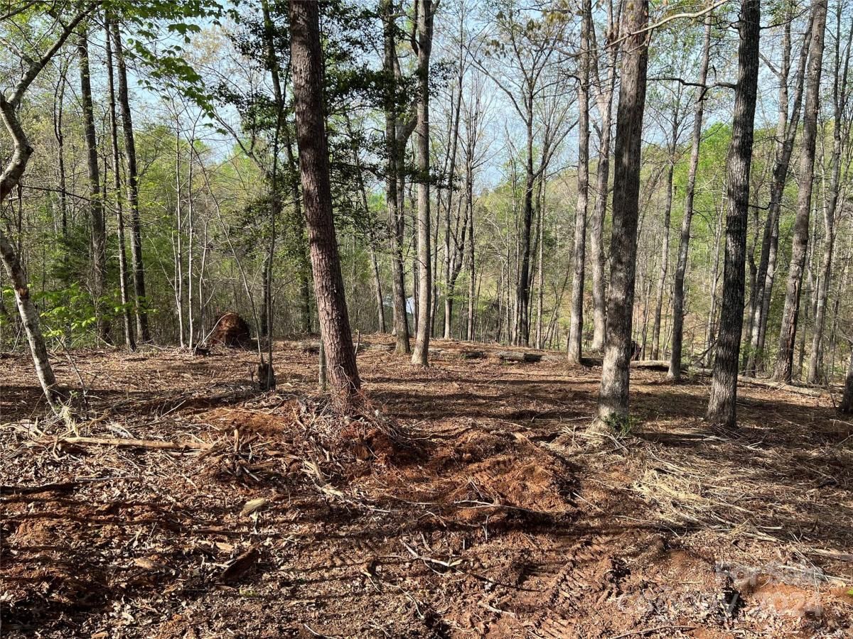 MLS #CAR3724319 image #2