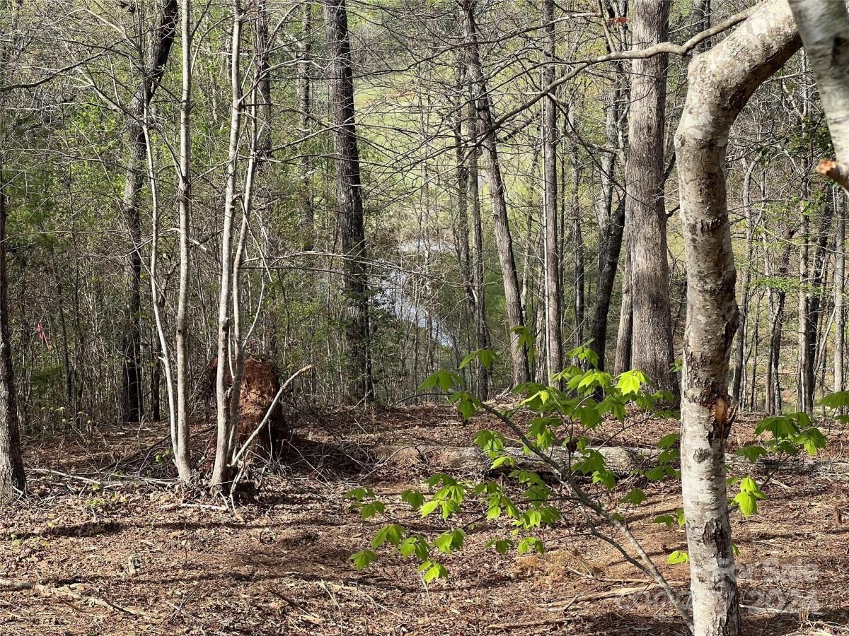 MLS #CAR3724319 image #3