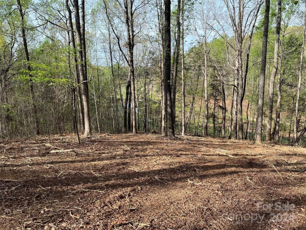 MLS #CAR3724319 image #4