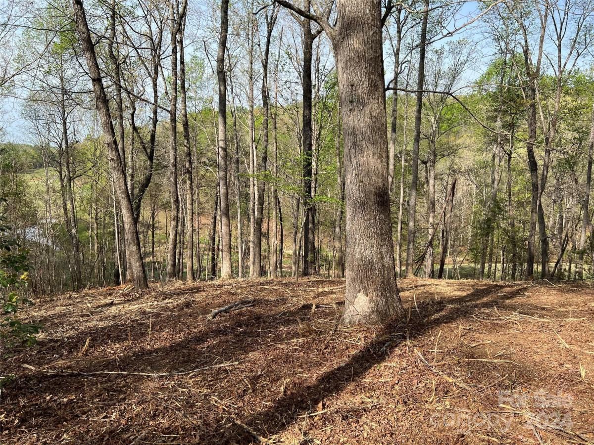 MLS #CAR3724319 image #5