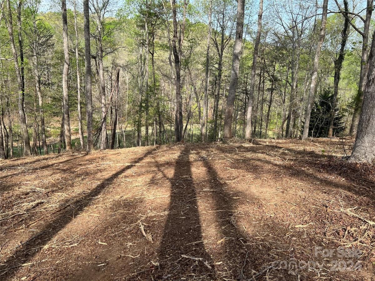 MLS #CAR3724319 image #6