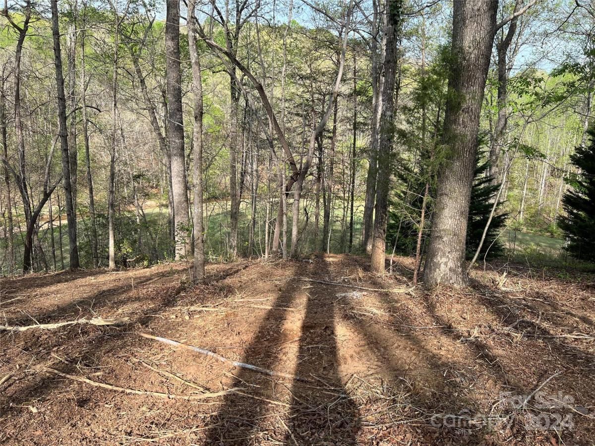 MLS #CAR3724319 image #7