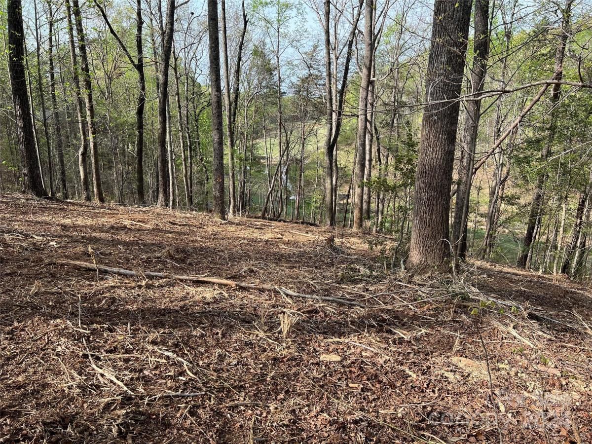 MLS #CAR3724319 image #8