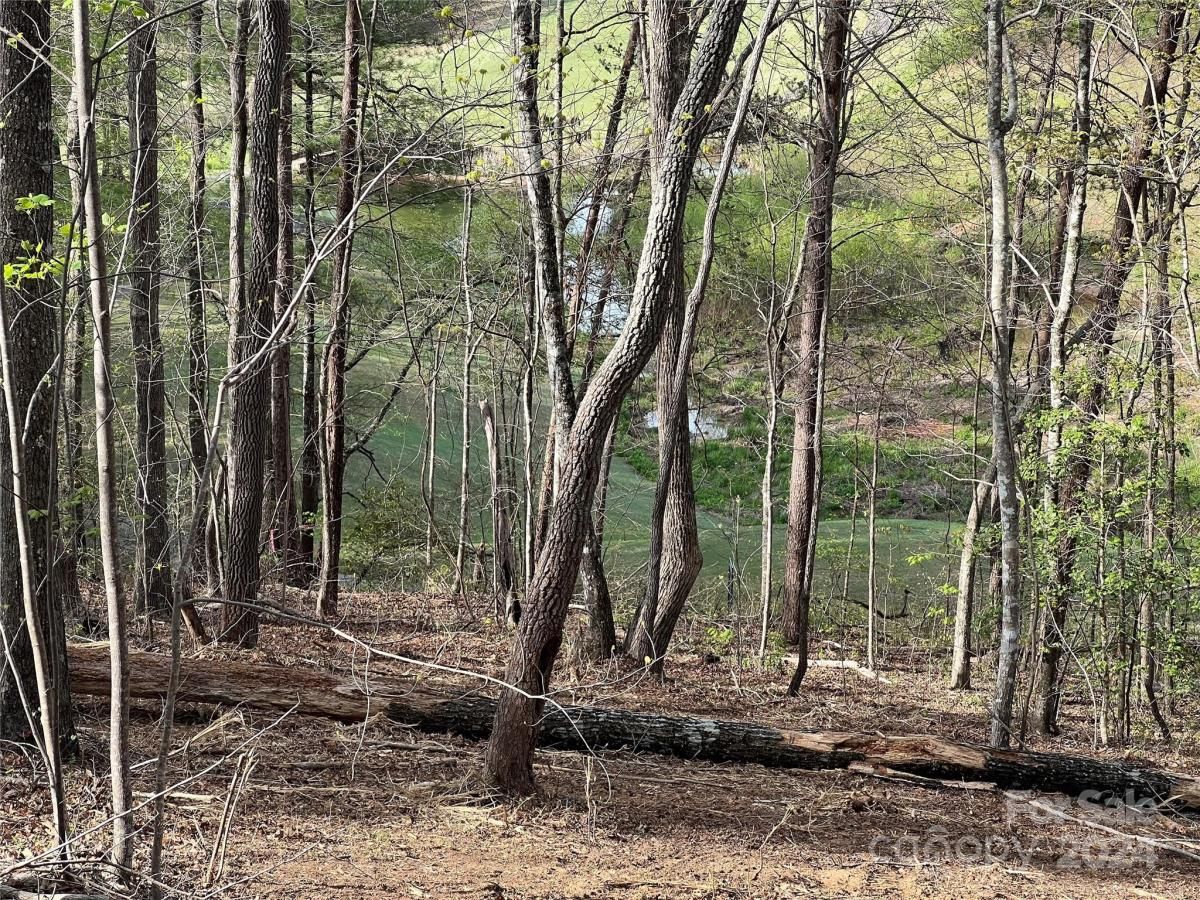 MLS #CAR3724319 image #9