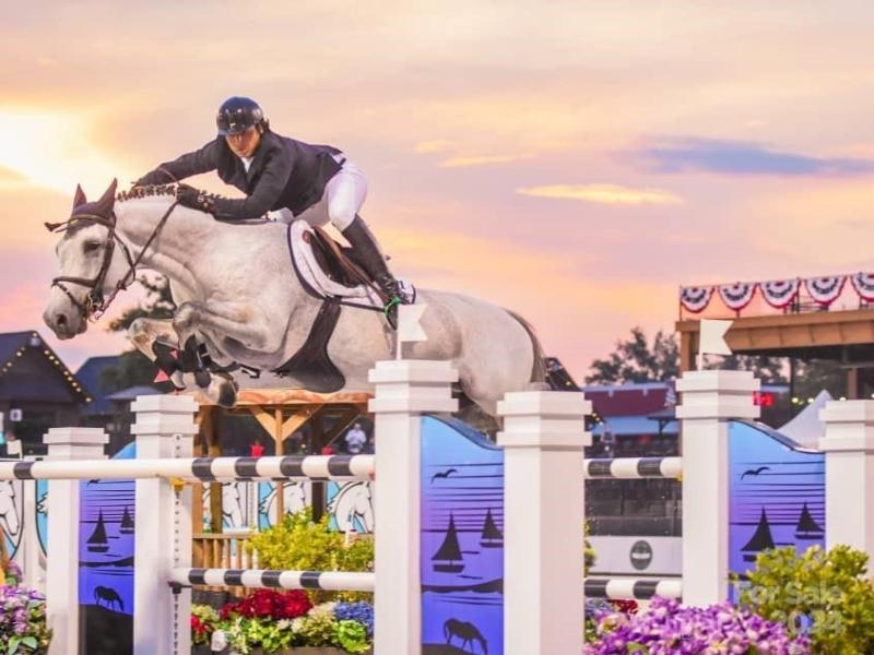 MLS #CAR3724319 image #19