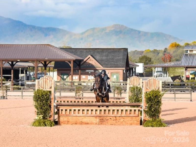 MLS #CAR3724319 image #20