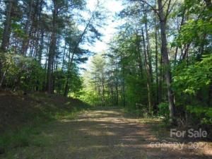 MLS #CAR3748239 image #5