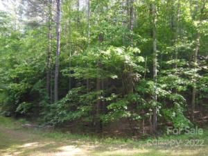 MLS #CAR3748239 image #6