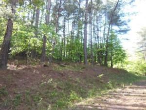 MLS #CAR3748239 image #7