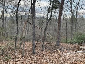 MLS #CAR3750812 image #0