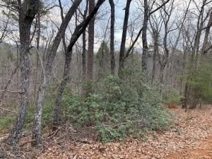 MLS #CAR3750812 image #1