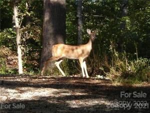 MLS #CAR3750812 image #12