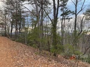 MLS #CAR3750812 image #3