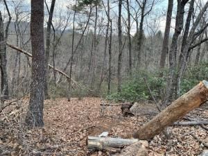 MLS #CAR3750812 image #4