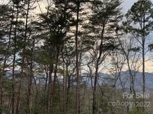 MLS #CAR3750812 image #5