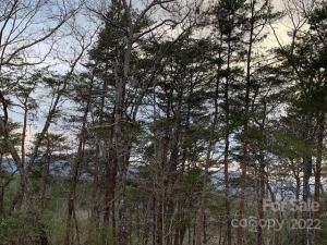 MLS #CAR3750812 image #6