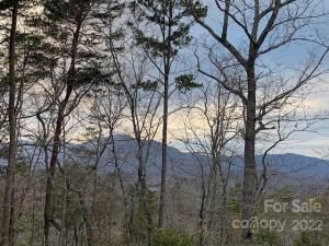 MLS #CAR3750812 image #7