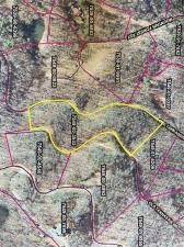 MLS #CAR3774642 image #0