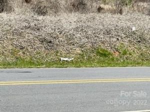 MLS #CAR3835164 image #0