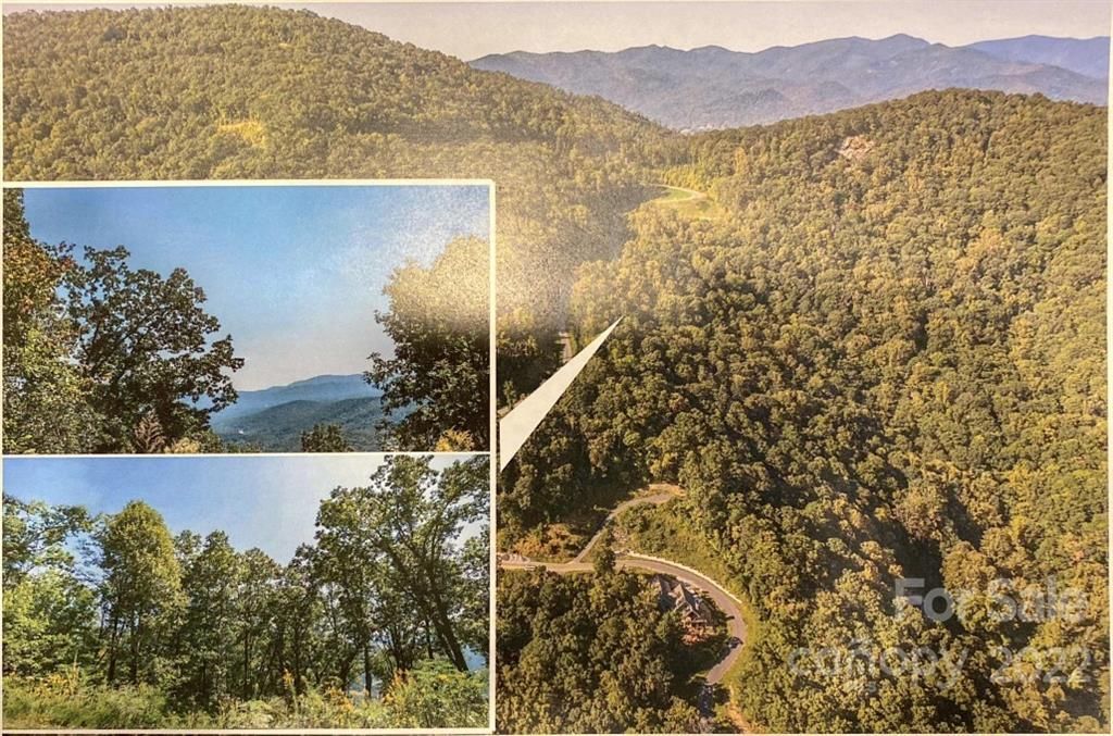 MLS #CAR3836811 image #0