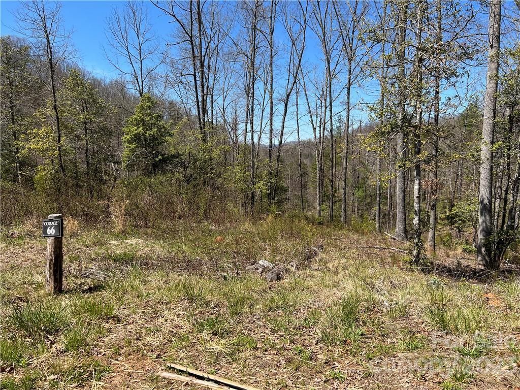 MLS #CAR3845769 image #3