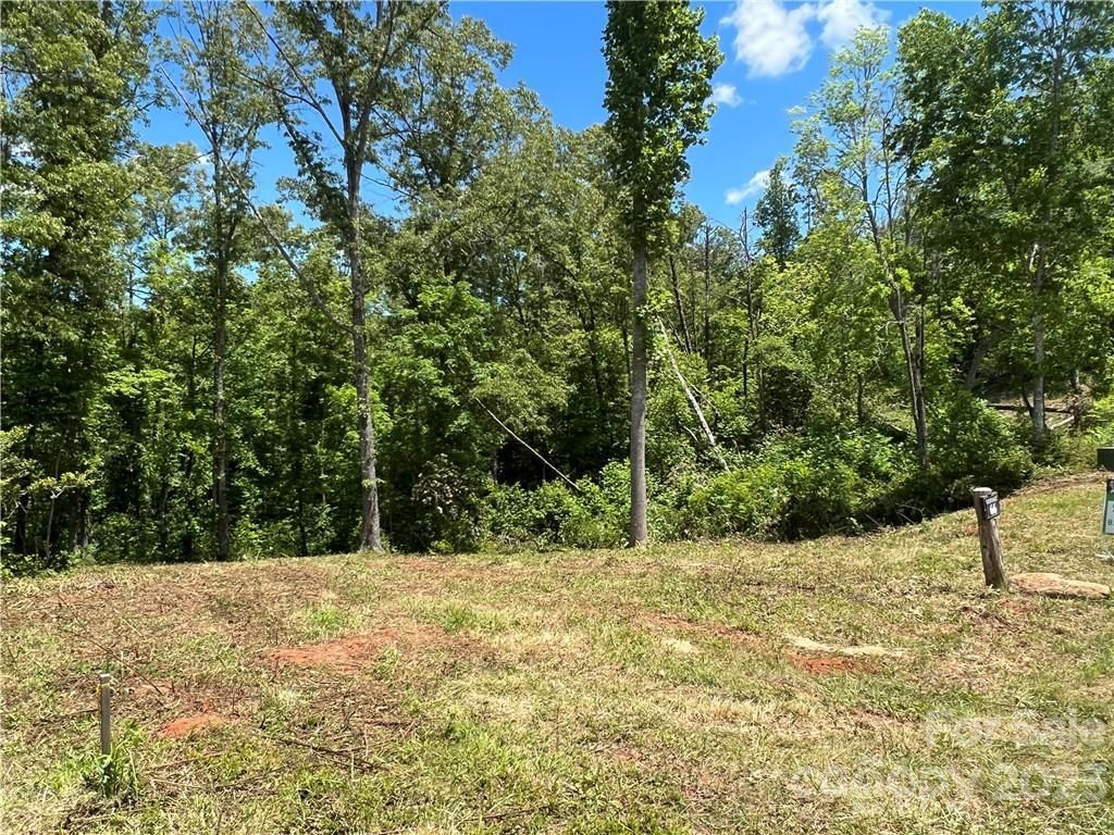 MLS #CAR3845769 image #4