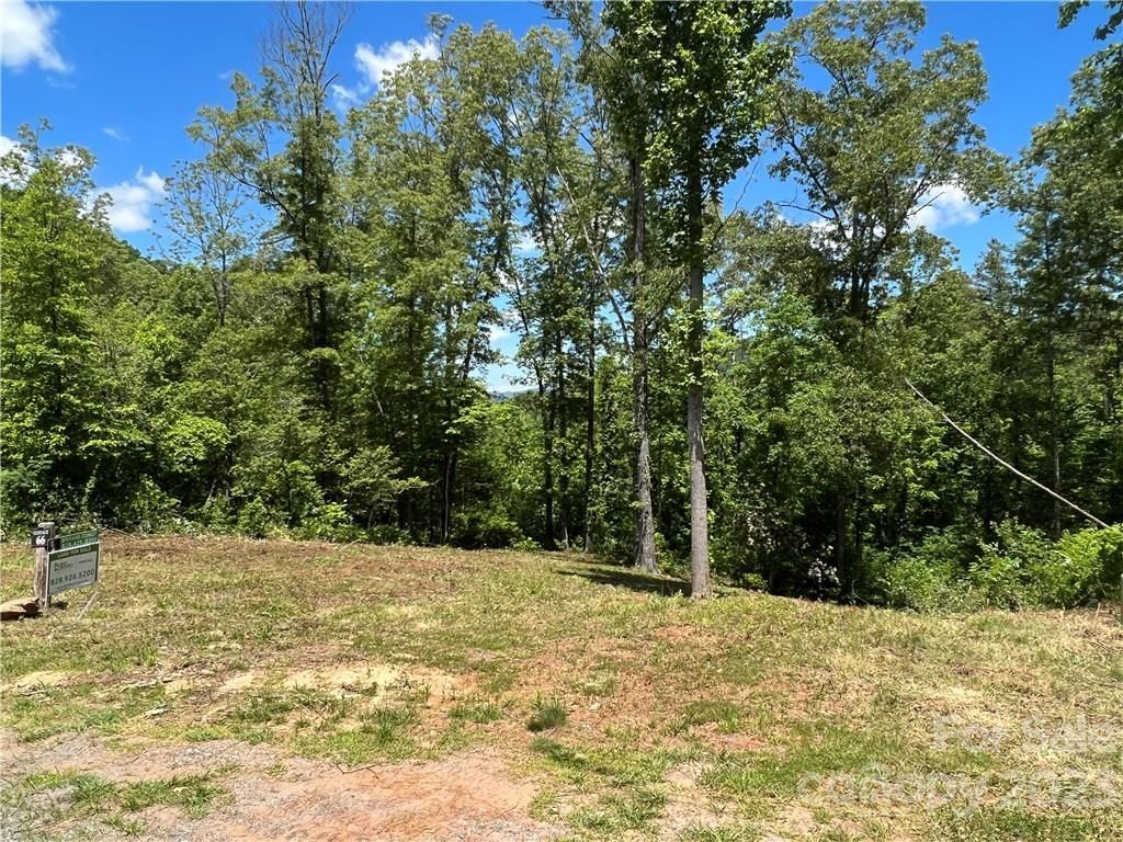 MLS #CAR3845769 image #6