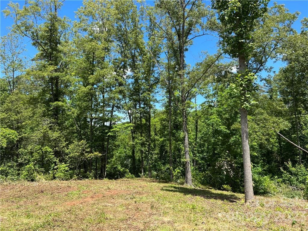 MLS #CAR3845769 image #7