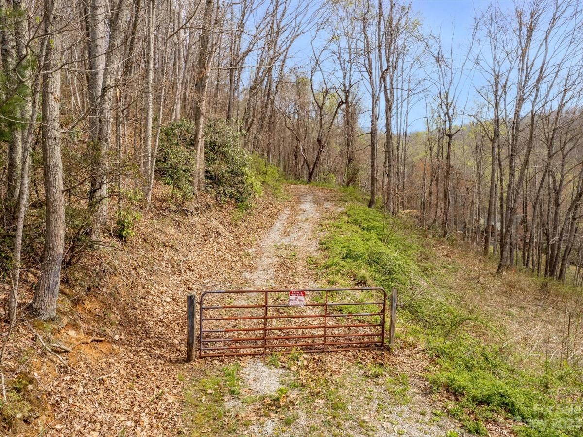 MLS #CAR3860071 image #1