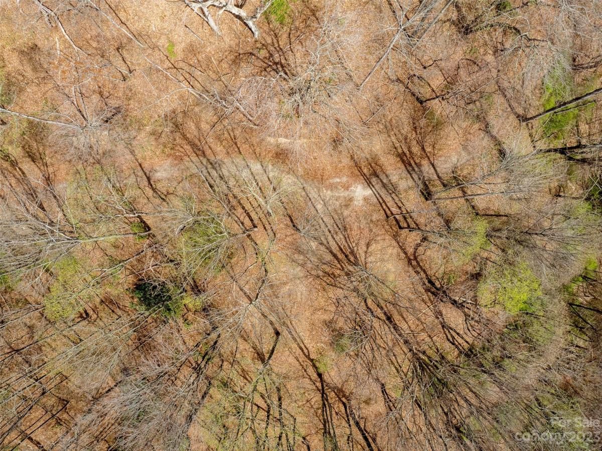 MLS #CAR3860071 image #11