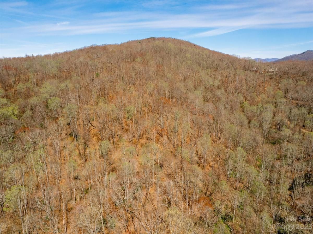 MLS #CAR3860071 image #12