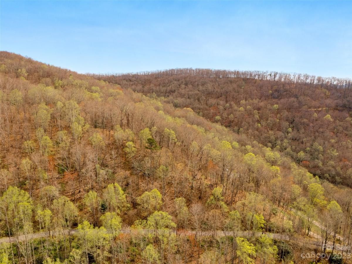 MLS #CAR3860071 image #2