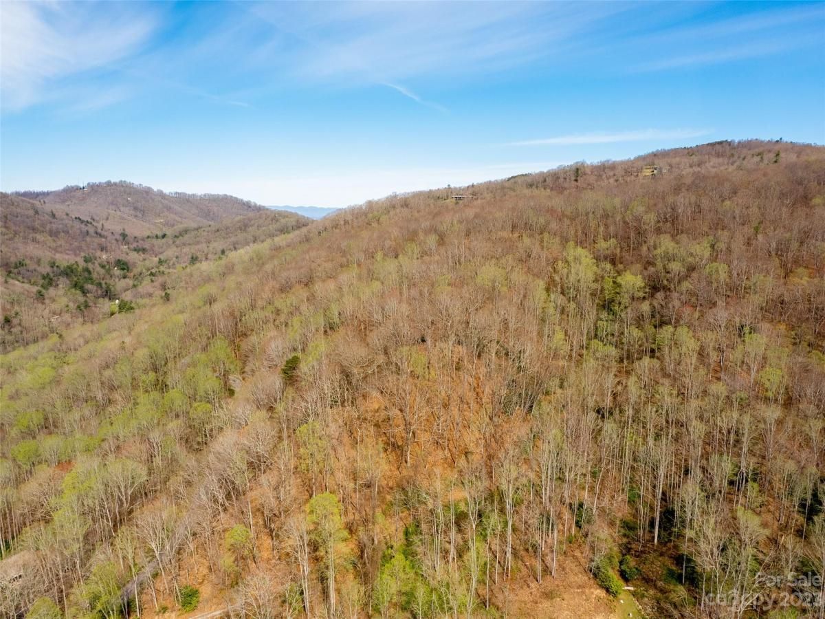 MLS #CAR3860071 image #3