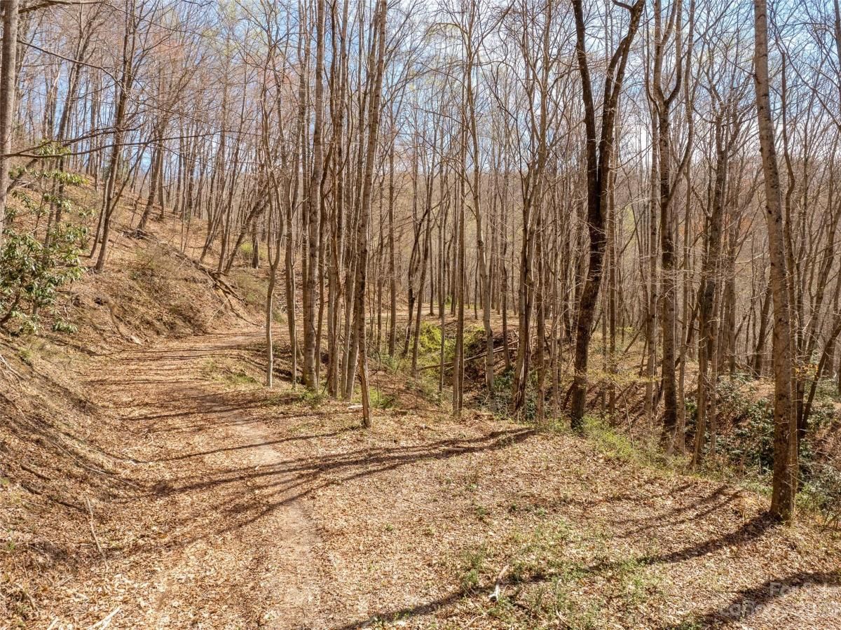 MLS #CAR3860071 image #4