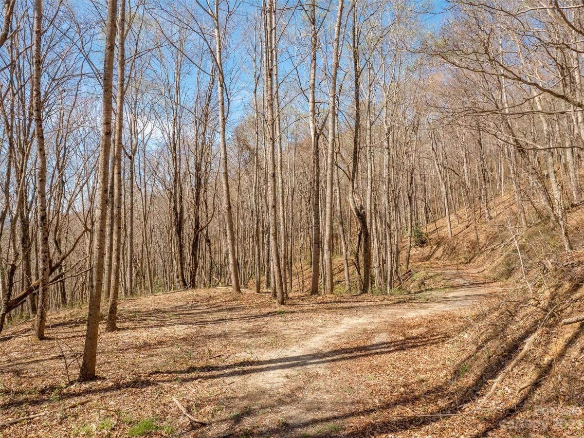 MLS #CAR3860071 image #5