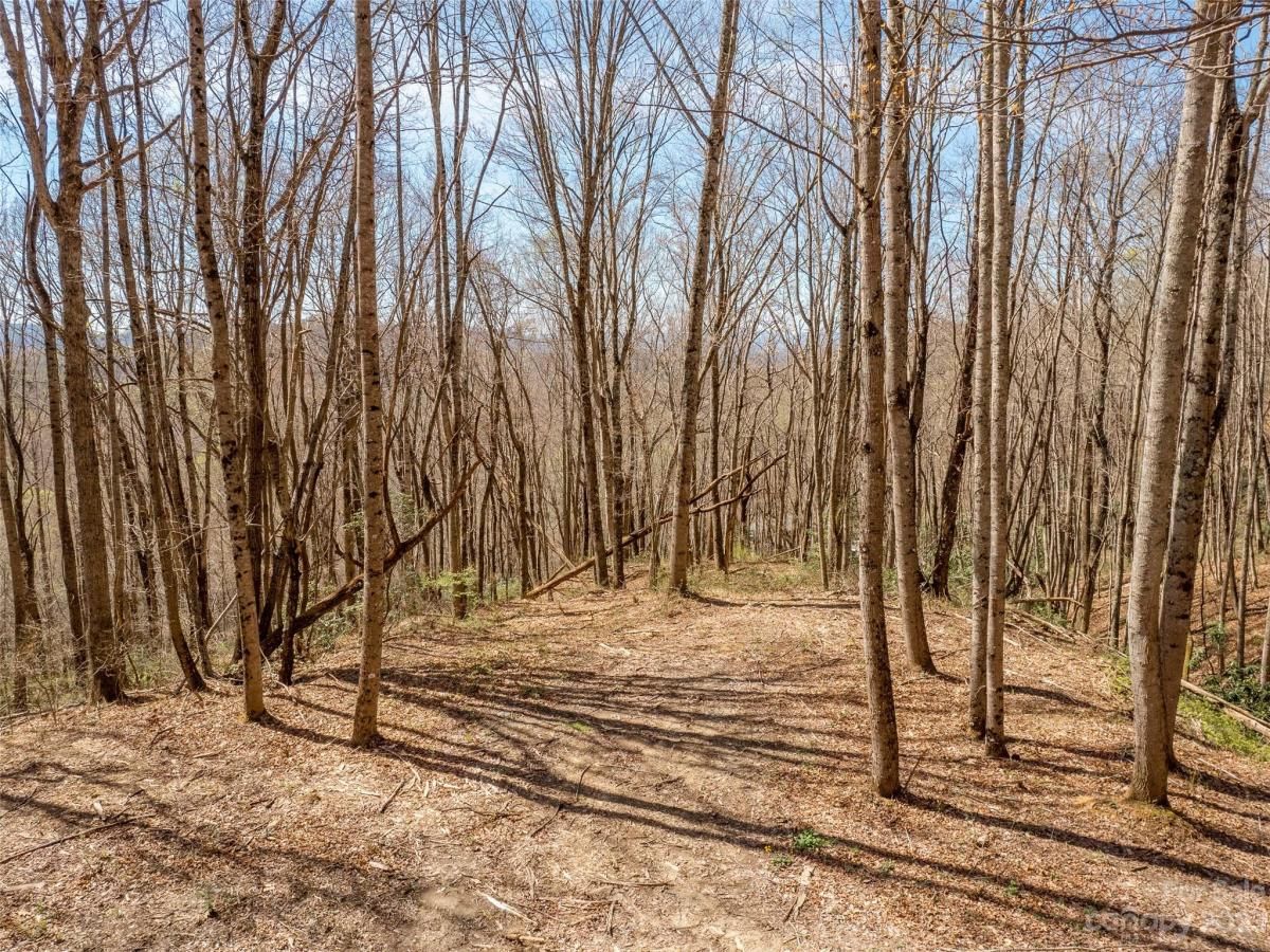 MLS #CAR3860071 image #6