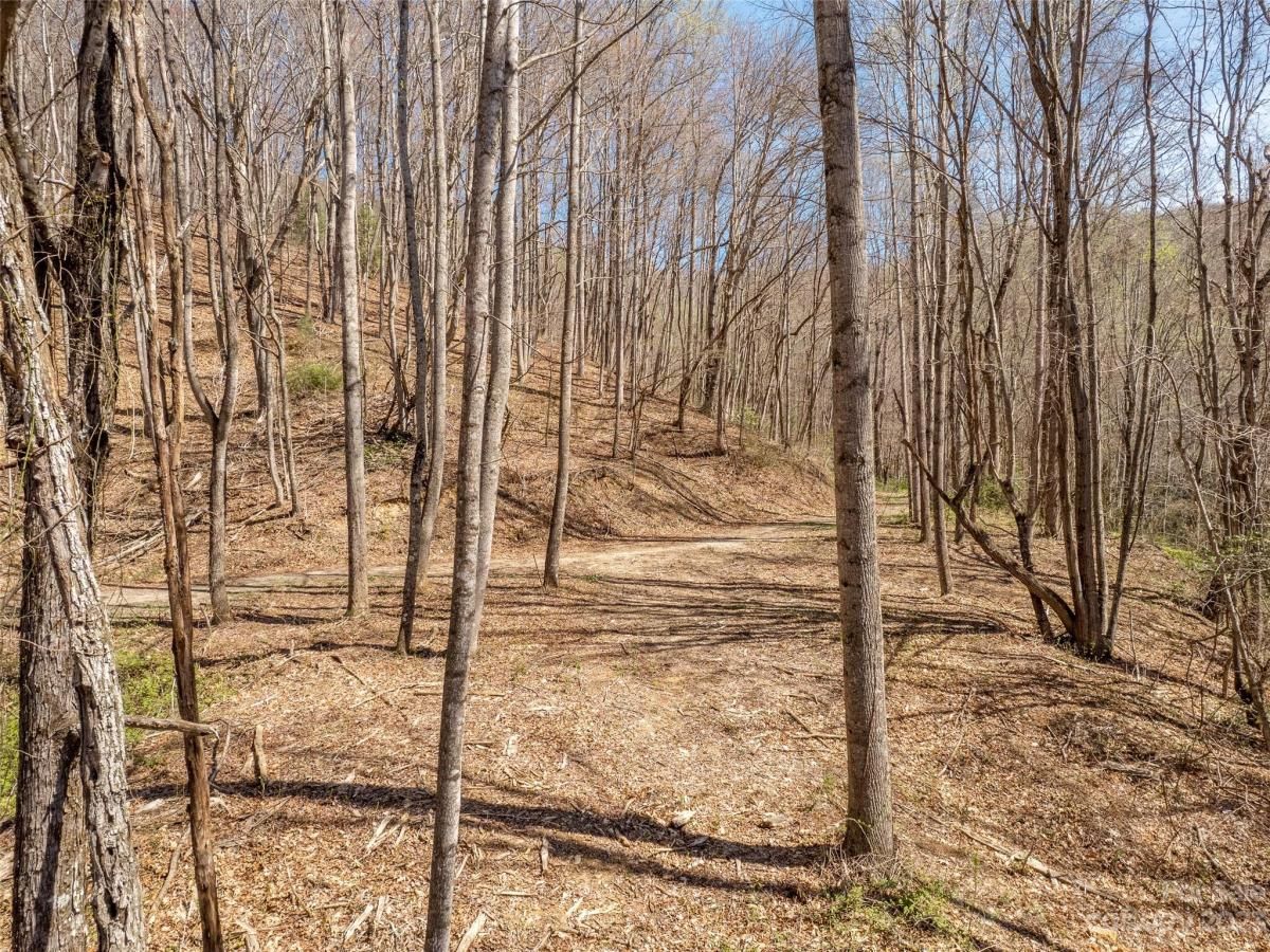 MLS #CAR3860071 image #7