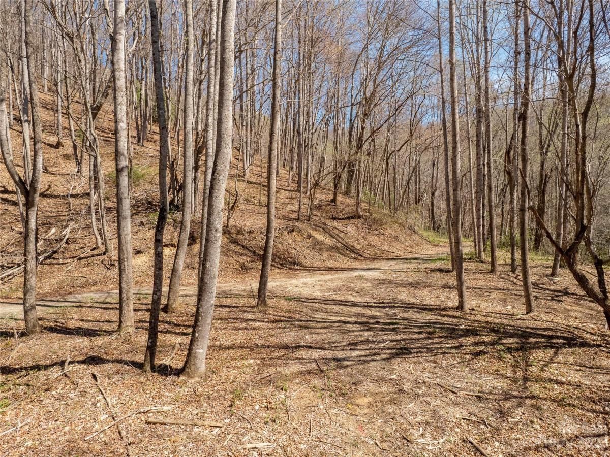 MLS #CAR3860071 image #8